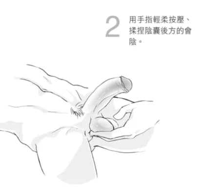 丁丁的正确手法图演示，丁丁的按法正确安法图解_2