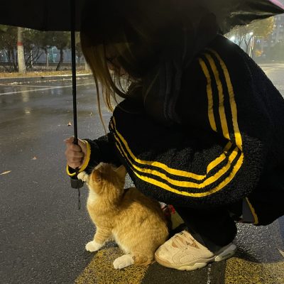 有爱女生雨中给小猫咪打雨伞唯美图片
