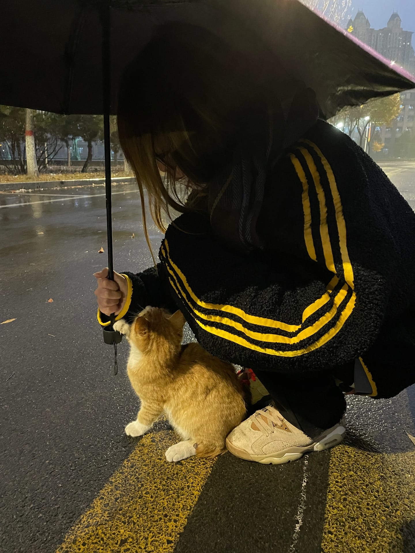 有爱女生雨中给小猫咪打雨伞唯美图片_1