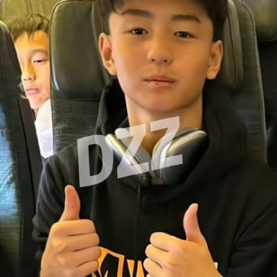 张柏芝谢霆锋二儿子正脸照图片