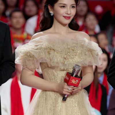 刘涛就是最美小姨辽视春晚主持人图片
