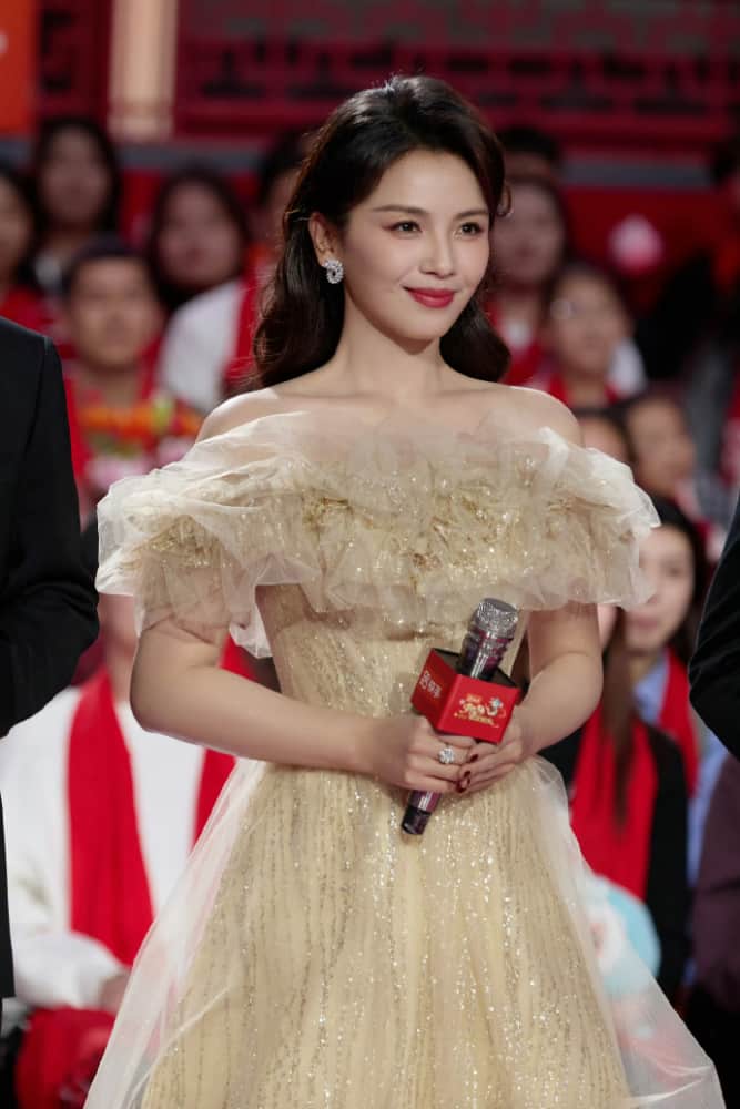 刘涛就是最美小姨辽视春晚主持人图片_2