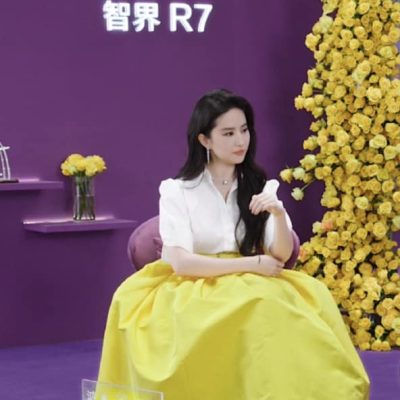 刘亦菲黄色蓬蓬裙火出圈