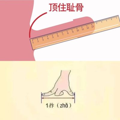 18cm丁丁尺寸参照物对比图
