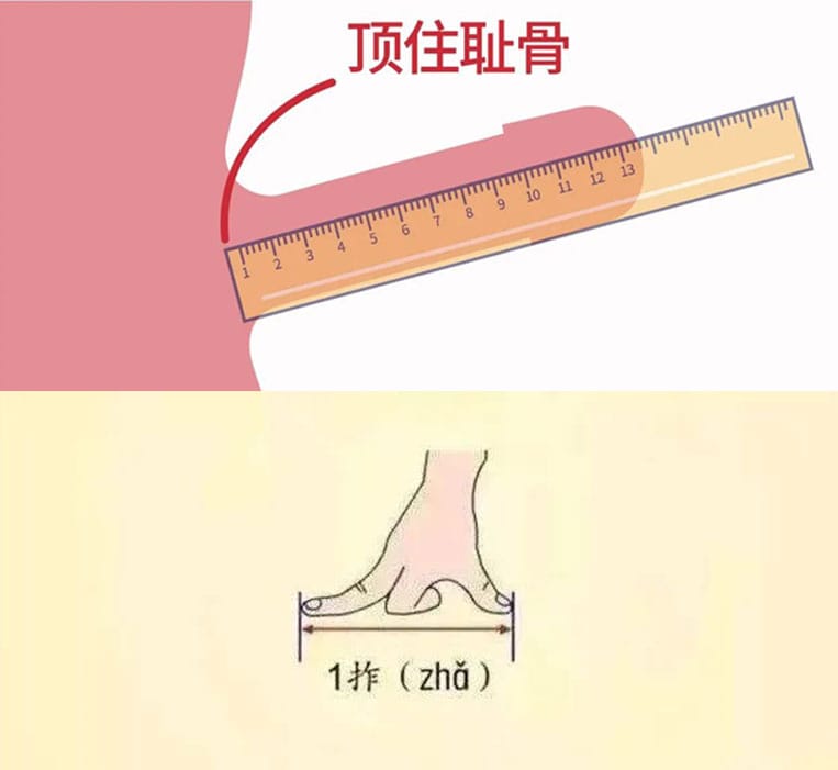 18cm丁丁尺寸参照物对比图_1