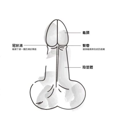 口咬小鸡最简单三个动作图解