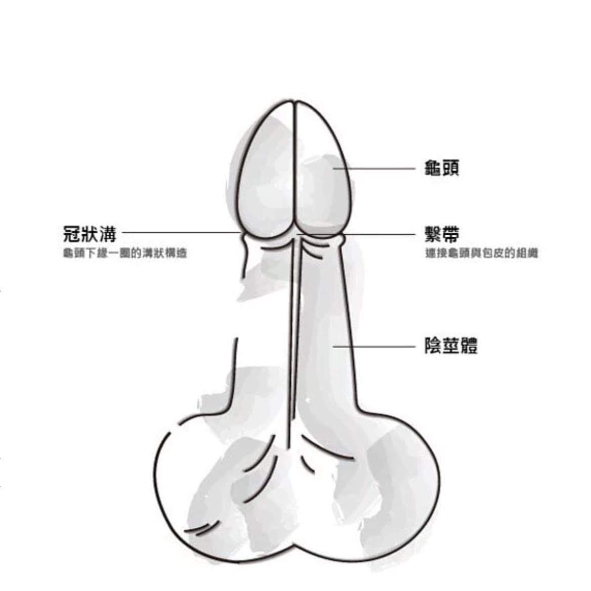 口咬小鸡最简单三个动作图解_1