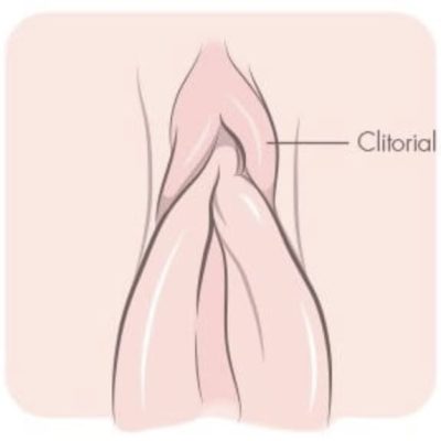 女生diy入门动作图片演示