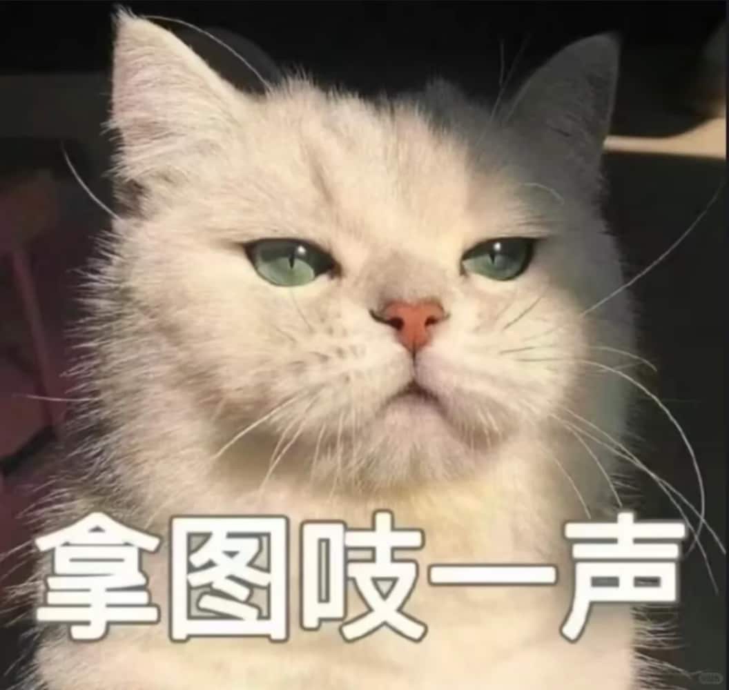 实拍潮玩盲盒可爱Labubu头像_10